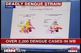 Delhi in deadly dengue grip