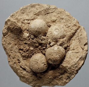 World’s ‘first data storage system’ discovered