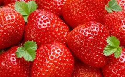 Now, Mapro Strawberry Festival in Mumbai