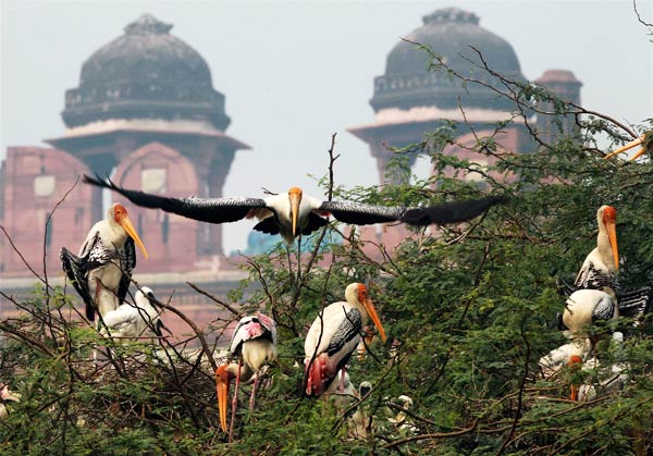 Pleasant Saturday in Delhi