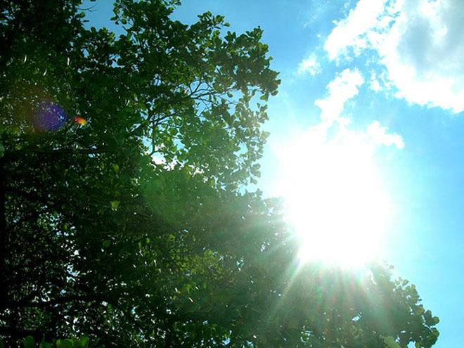 Sunny Monday in Delhi