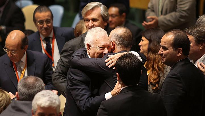 New Zealand wins United Nations Security Council seat