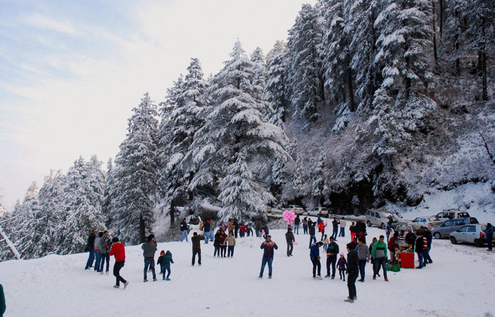Shimla gets season’s first snowfall