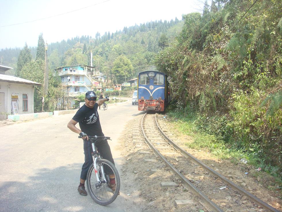 Mom's Darjeeling toy