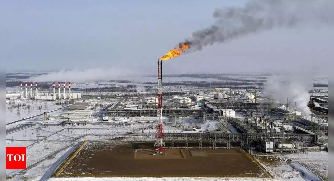 Russia’s share of India’s June oil imports surges to record