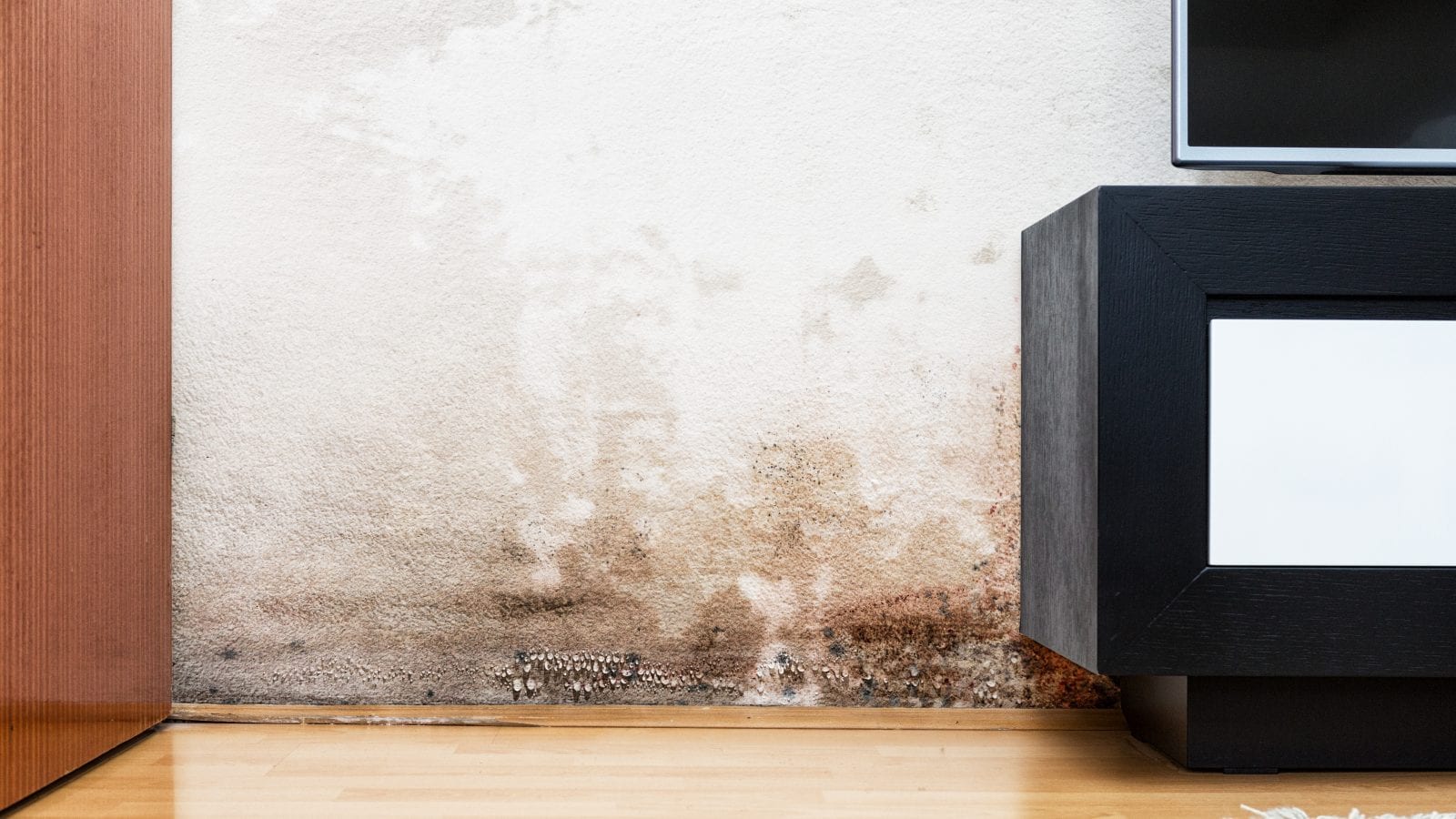 Don’t Want Damp Walls During Monsoon? Here are Some Tips and Tricks